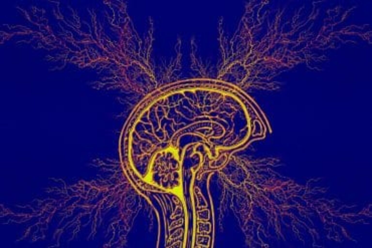 Εγκέφαλος:-Τι-μπορεί-να-κάνει-η-ωκυτοκίνη-στον-εγκέφαλο;