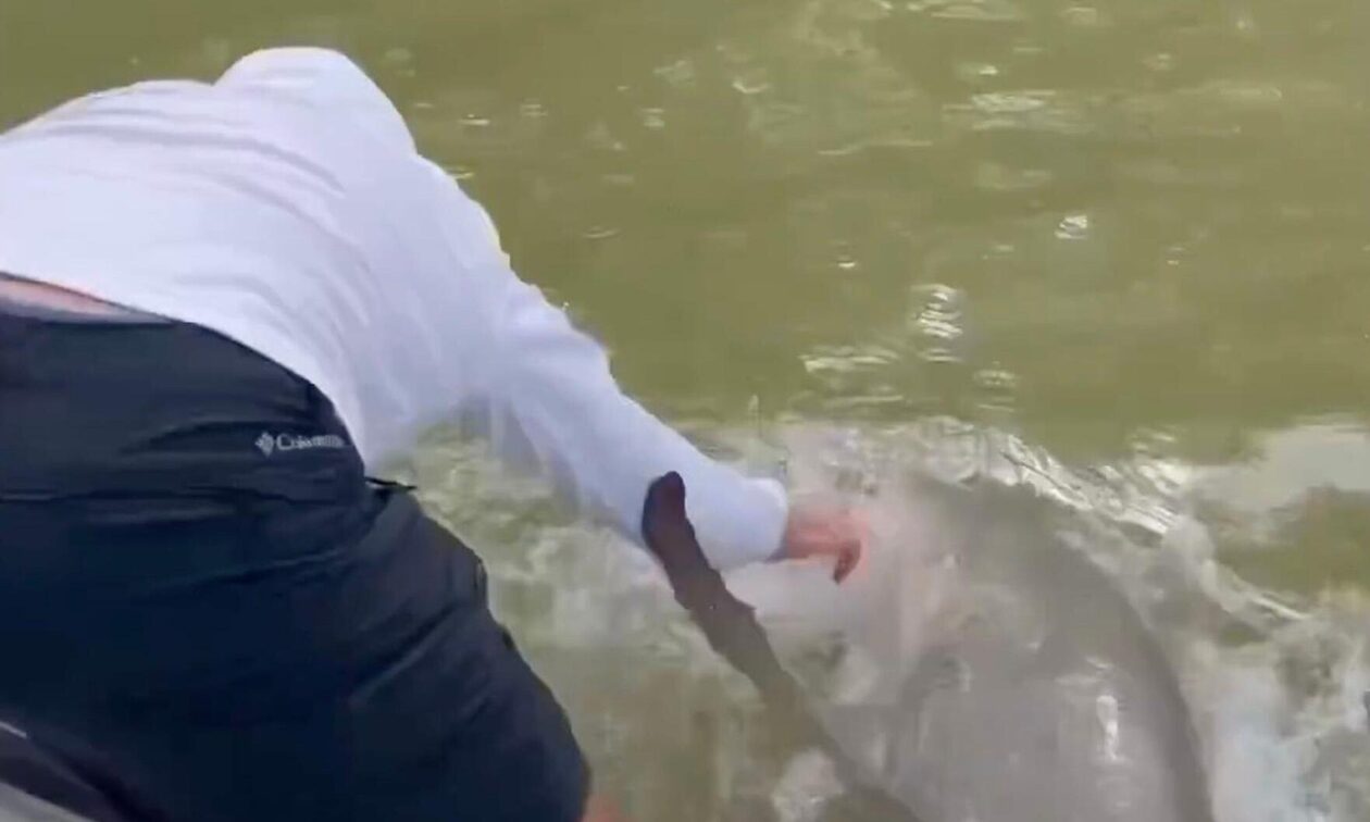 Φλόριντα:-Σοκαριστική-επίθεση-καρχαρία-σε-ψαρά-–-Πήγε-να-πλύνει-τα-χέρια-του-και-τον-δάγκωσε
