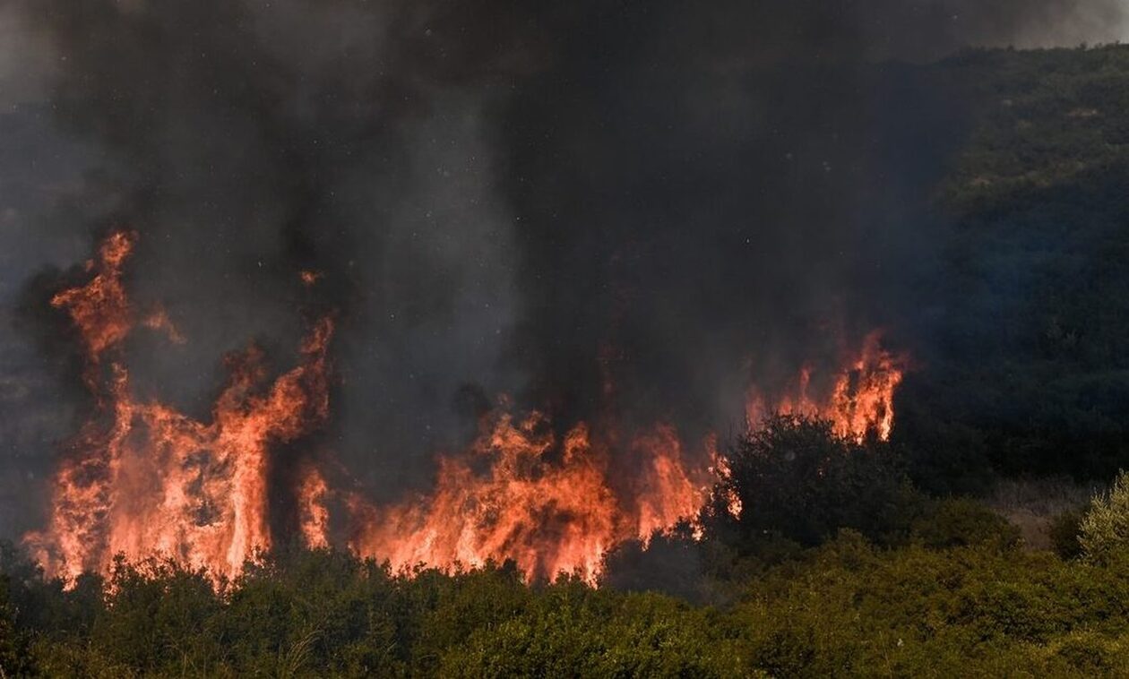 Αλβανία:-Δασική-πυρκαγιά-μαίνεται-κοντά-στην-πόλη-Λατς-–-Συλλήψεις-υπόπτων-για-εμπρησμό