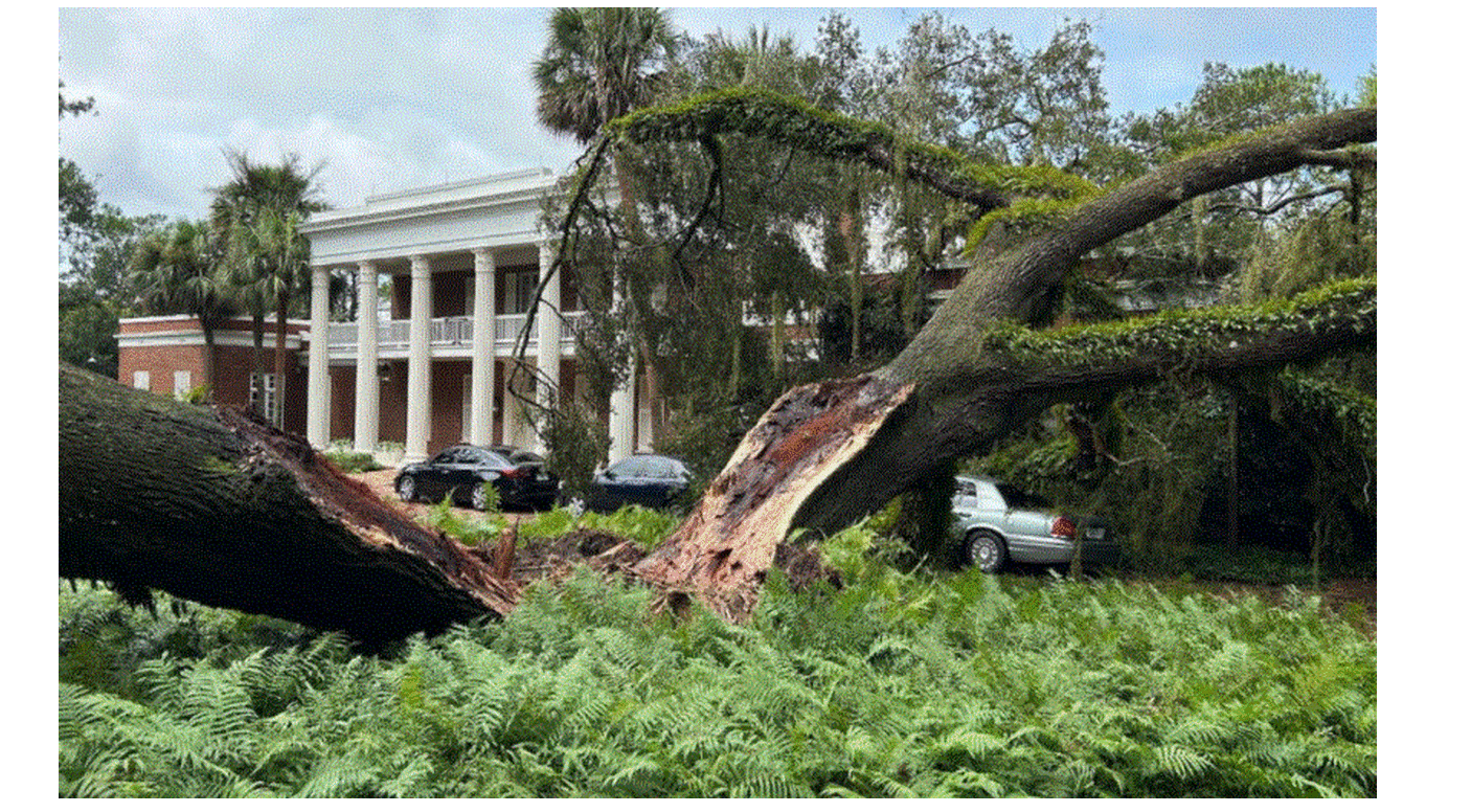 Τυφώνας-«Ιδαλία»:-Δέντρο-καταπλώκωσε-την-έπαυλη-του-κυβερνήτη-της-Φλόριντα-–-Η-ανάρτηση-της-συζύγου
