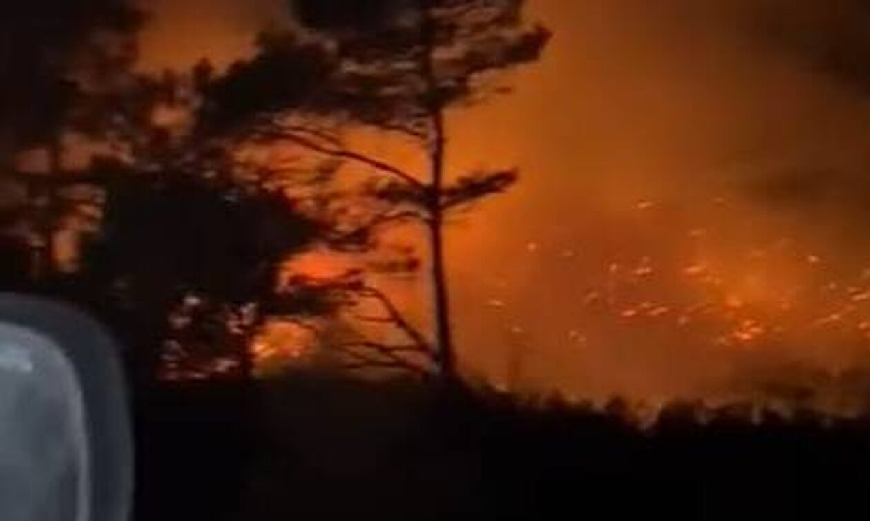Φωτιά-στη-Ρόδο:-Από-χέρι-εμπρηστή-ξεκίνησε-η-πυρκαγιά-–-Κάηκαν-περισσότερα-απο-100-στρέμματα-δάσους