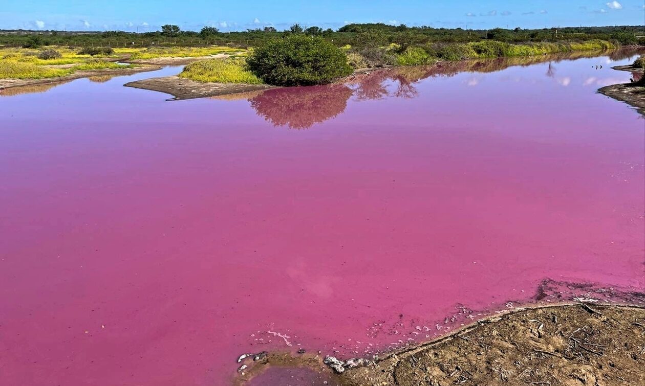 Χαβάη:-Φοβερές-εικόνες-από-λίμνη-που-έγινε…-ροζ-–-Τι-εξετάζεται-από-τους-επιστήμονες