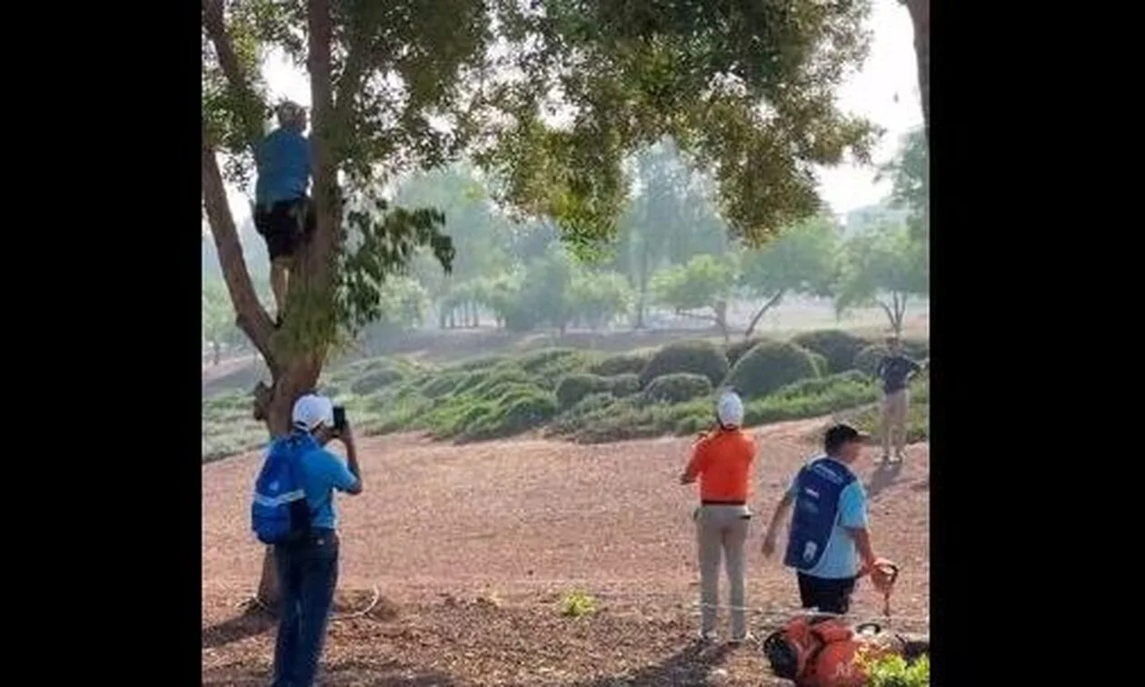 Παίκτης-γκολφ-έχασε-τρία-μπαστούνια-κατά-τη-διάρκεια-τουρνουά-–-Τα…-πέταξε-σε-δέντρο