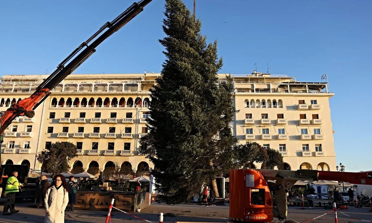 Θεσσαλονίκη:-Χριστουγεννιάτικο-δέντρο-στην-πλατεία-Αριστοτέλους-–-live-εικόνα-από-τις-προετοιμασίες