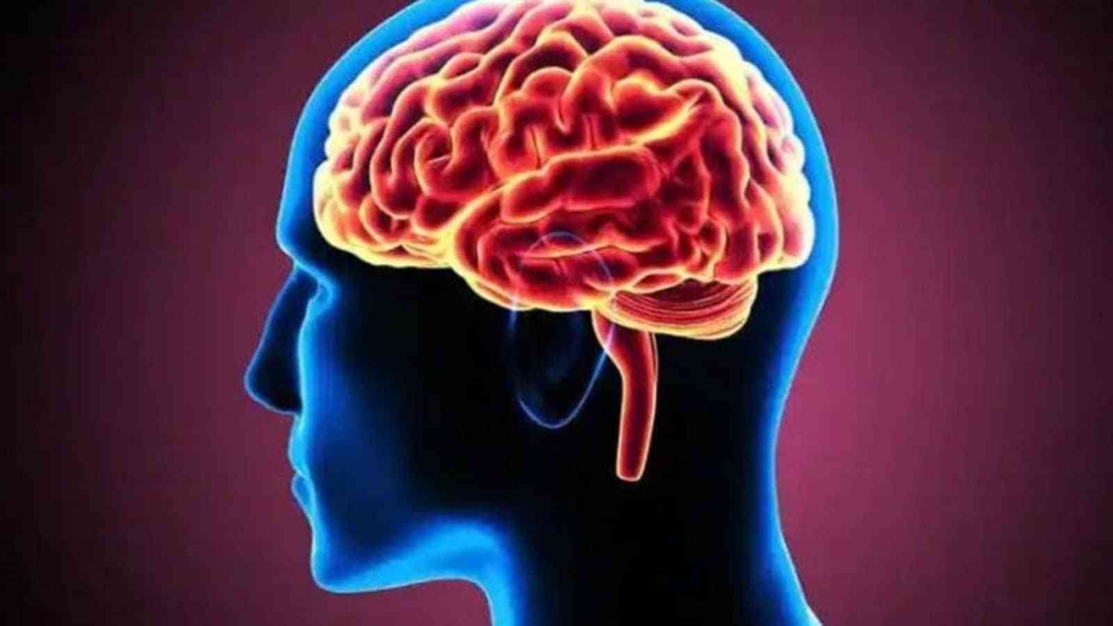 Εγκέφαλος:-Ποιες-είναι-οι-διαφορές-μεταξύ-αριστερού-και-δεξιού-ημισφαιρίου: