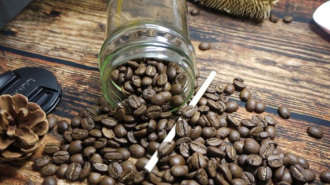 Καφές-arabica:-Ιταλοί-επιστήμονες-δημιούργησαν-ένα-νέο-γενετικό-χάρτη-του-φυτού