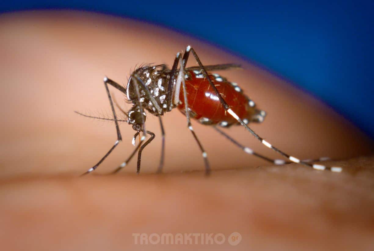 ΕΟΔΥ:-Προφυλαχθείτε-από-τα-κουνούπια-–-Προφυλαχθείτε-από-τον-ιό-του-Δυτικού-Νείλου
