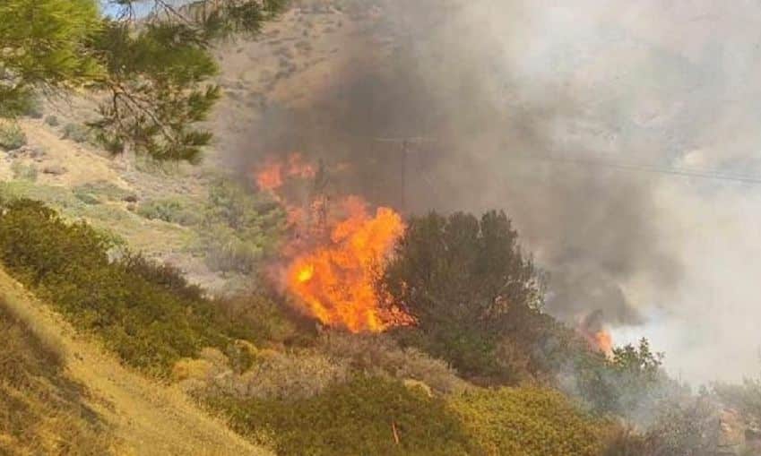 Ανεξέλεγκτη-η-φωτιά-στη-Χίο-–-Ενισχύθηκαν-οι-δυνάμεις-–-Εμπρησμός-πίσω-από-το-πύρινο-μέτωπο