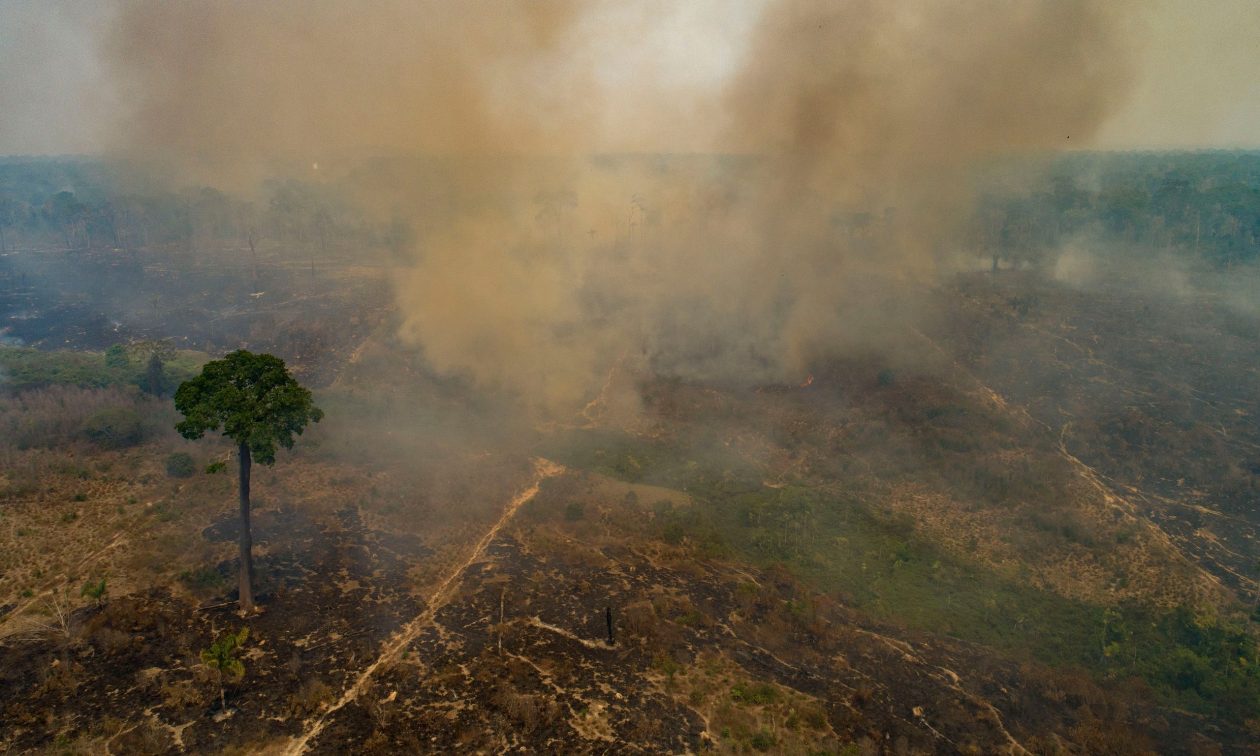 bραζιλία:-Ο-Αμαζόνιος-«βλέπει»-το-χειρότερο-εξάμηνο-πυρκαγιών-εδώ-και-20-χρόνια