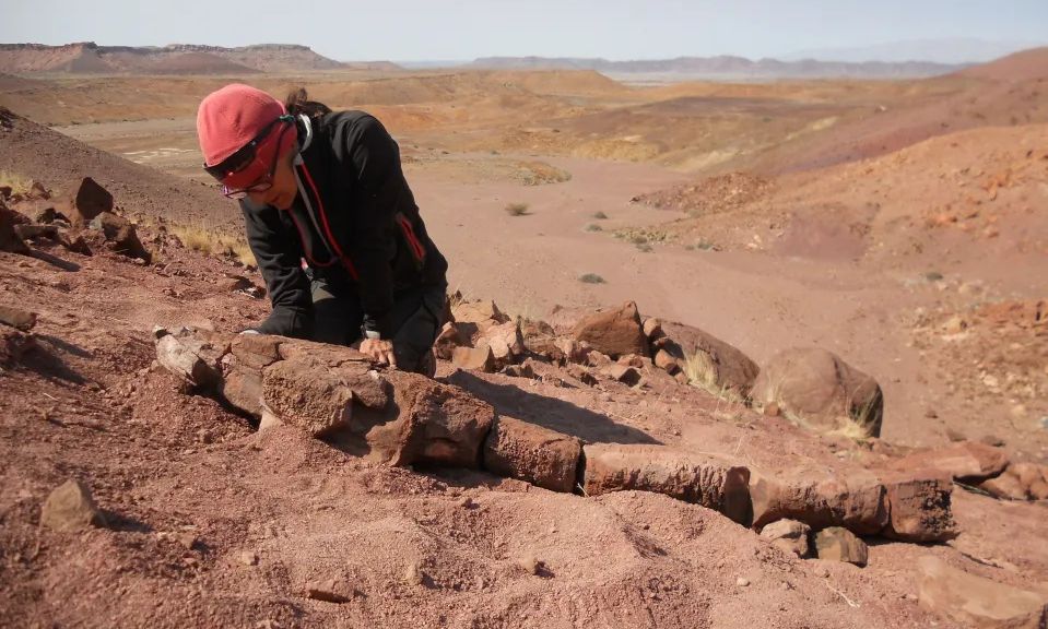 to-θηριώδες-πλάσμα-της-εποχής-των-παγετώνων-–-Έζησε-40-εκατ.-χρόνια-πριν-τους-δεινόσαυρους