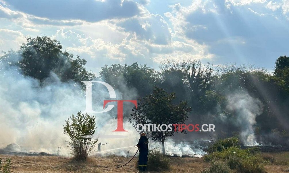 Φωτιά-στο-Άργος:-Ηλικιωμένος-έβαλε-φωτιά-για-να-κάψει-ξερά-χόρτα-και-του-ξέφυγε