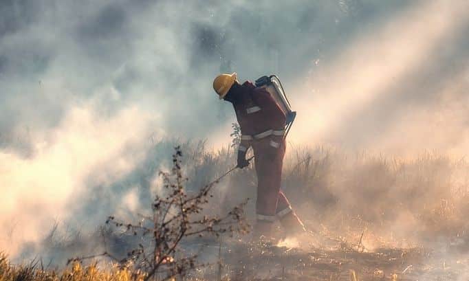 ΕΛΓΑ:-Ποιες-ζημιές-από-πυρκαγιά-αποζημιώνει-σε-αγρότες-–-κτηνοτρόφους