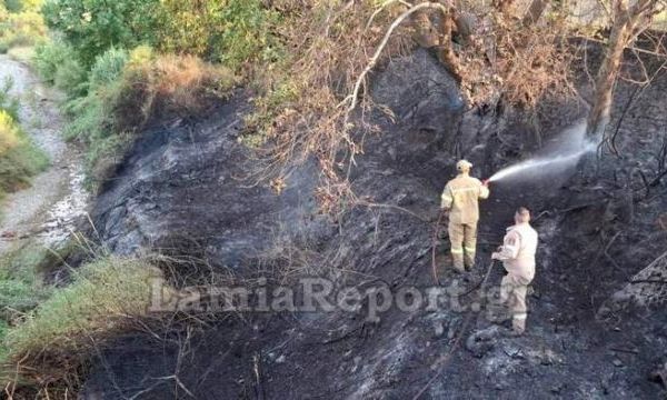 Λαμία:-Από-πελαργό-προκλήθηκε-φωτιά-κοντά-στο-Καινούριο