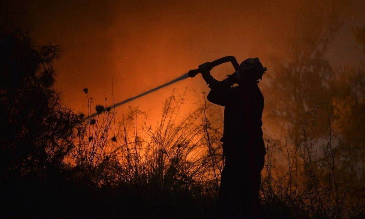 Φωτιά-στην-Κοζάνη:-Υπό-έλεγχο-η-πυρκαγιά-στην-περιοχή-Σκάφη