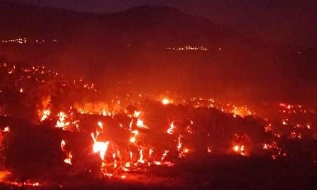 Πύρινη-«λαίλαπα»-στο-Ρέθυμνο:-Ολονύχτια-μάχη-με-τις-φλόγες-στο-Αμάρι-–-Κοντά-στα-σπίτια-η-φωτιά