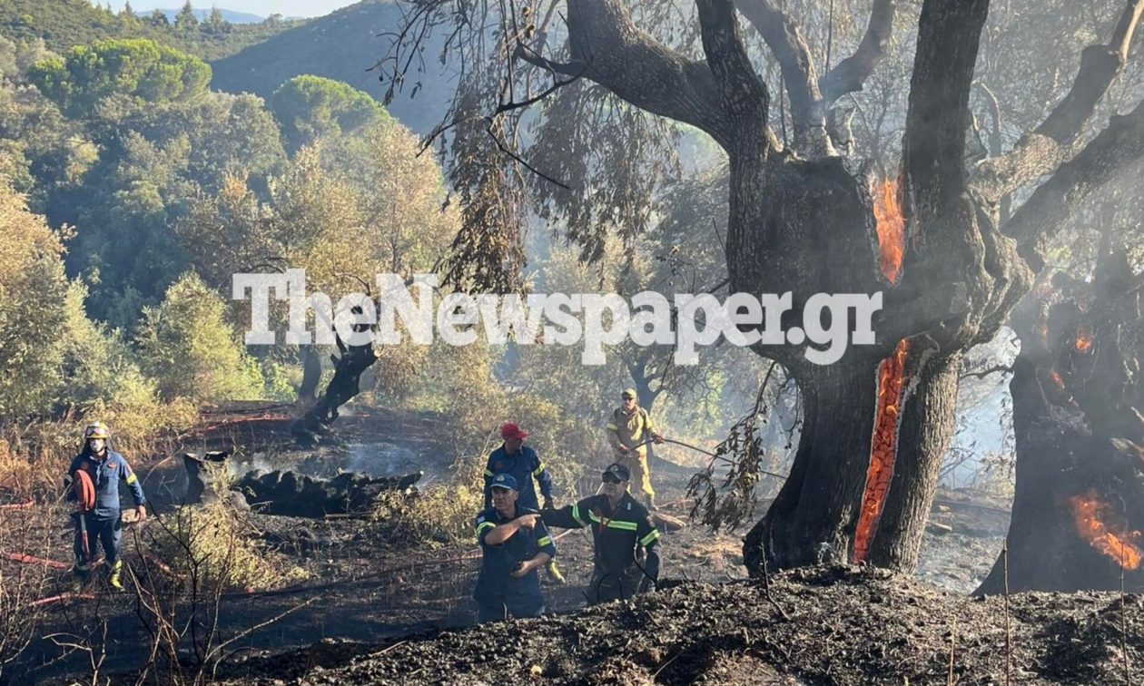 Πήλιο:-Υπό-μερικό-έλεγχο-η-φωτιά-που-ξέσπασε-το-απόγευμα