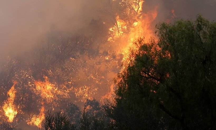 Φωτιά-στην-Θεσπρωτία:-Βελτιωμένη-η-κατάσταση-στον-Παλαμπά-–-Δεν-κινδυνεύει-οικισμός