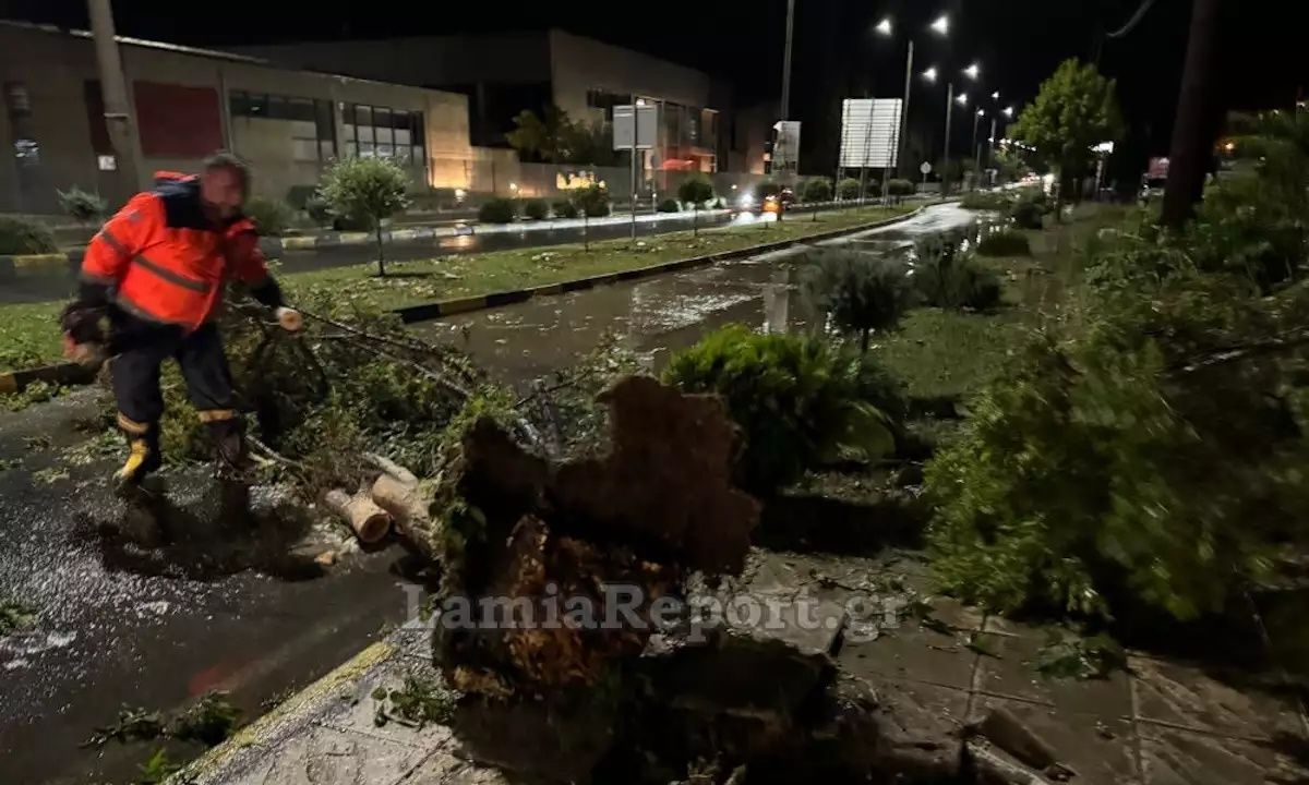 Λαμία:-Μπουρίνι-ξερίζωσε-δέντρα-και-προκάλεσε-ζημιές