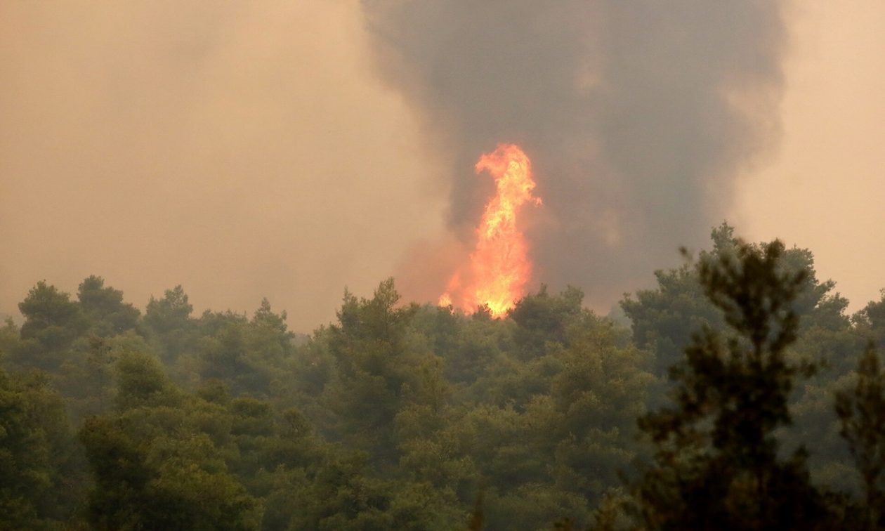 Πυροσβεστική:-26-αγροτοδασικές-πυρκαγιές-το-τελευταίο-24ωρο-σε-όλη-την-χώρα