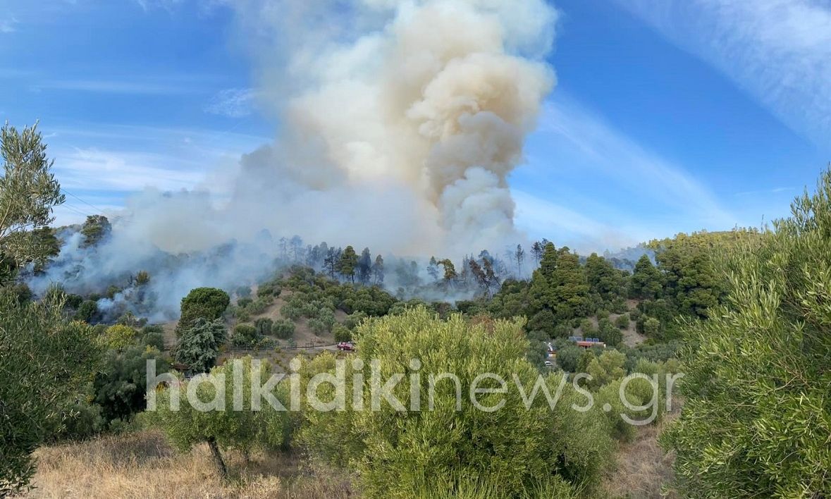 Χαλκιδική:-Μεγάλη-πυρκαγιά-στη-Σιθωνία-–-Εντολή-εκκένωσης-από-το-112,-καίει-κοντά-σε-σπίτια