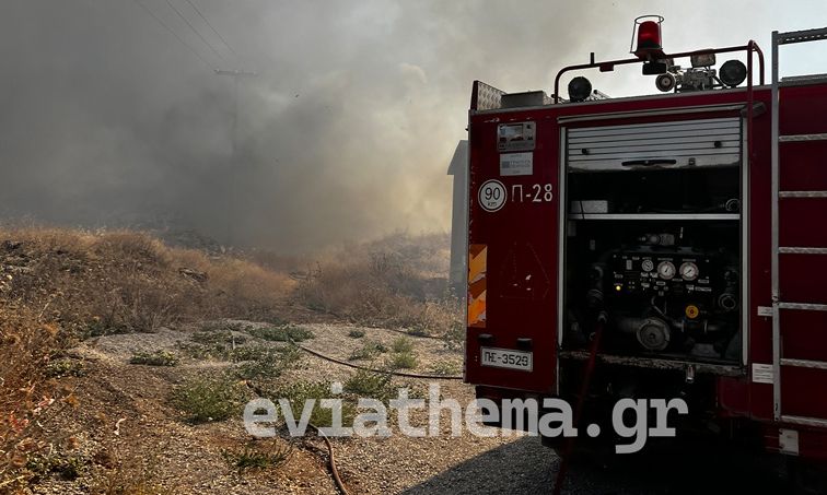 Εύβοια:-Φωτιά-σε-δύσβατη-περιοχή-στην-Πλατάνα