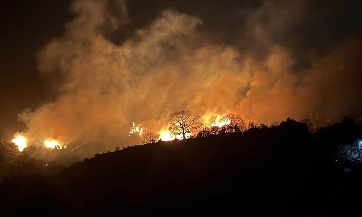 Φωτιά-στην-Εύβοια:-Πυρκαγιά-σε-δασική-έκταση-στους-Καλλιανούς-Καρύστου