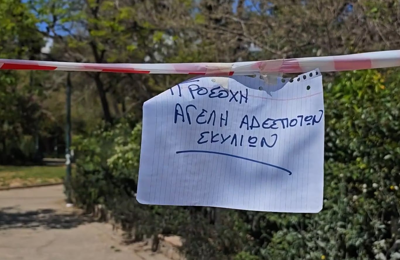 Λύθηκε-το-μυστήριο-με-την-αγέλη-σκυλιών-στο-Άλσος-Παγκρατίου-–-Ο-δήμος-Αθηναίων-το-έκλεισε-για-λόγους-ασφαλείας