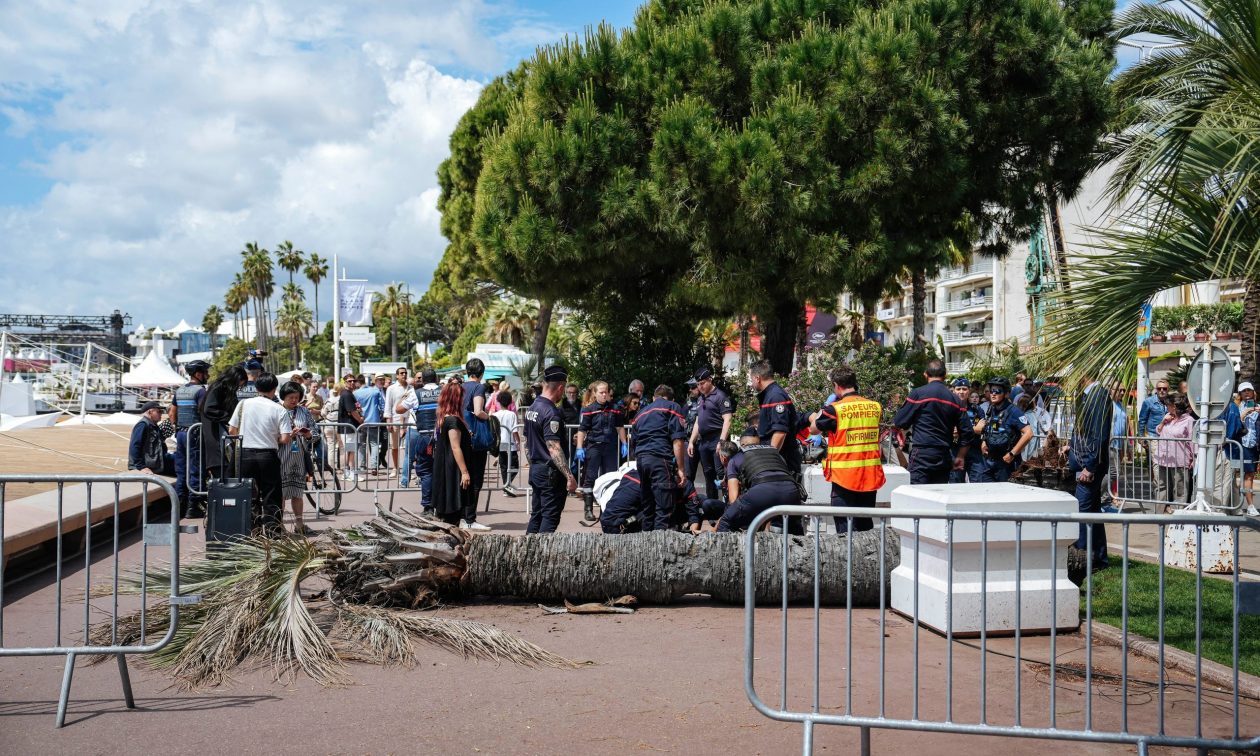 Κάννες:-Τραυματίστηκε-άνδρας-από-πτώση-φοίνικα-στην-Κρουαζέτ