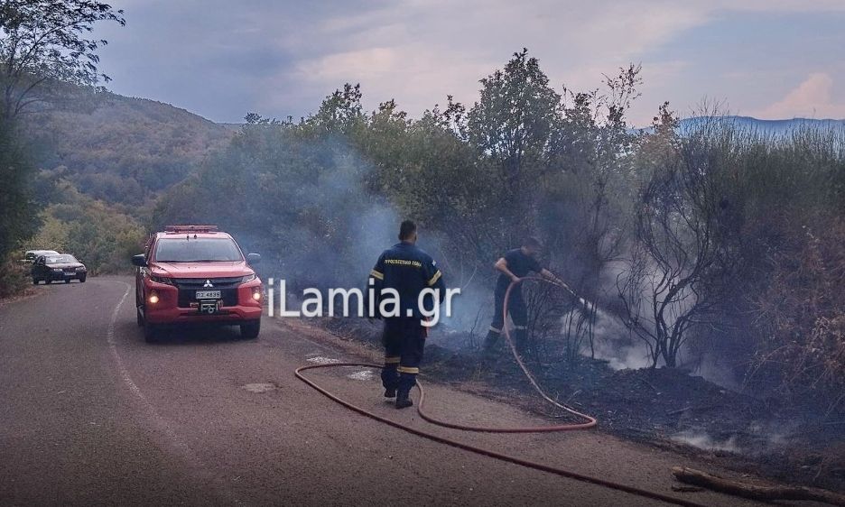 Φωτιά-στη-Φθιώτιδα-–-Επιχειρούν-και-εναέρια-μέσα