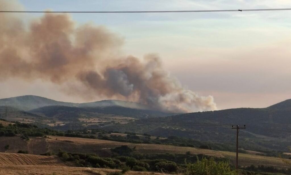 Φωτιά-στο-Ωραιόκαστρο:-«Όλα-δείχνουν-πως-έχει-οριοθετηθεί»,-λέει-ο-δήμαρχος