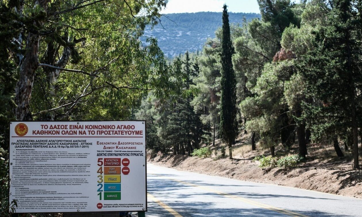 Απαγόρευση-κυκλοφορίας-σε-δασικές-περιοχές-της-Χαλκιδικής