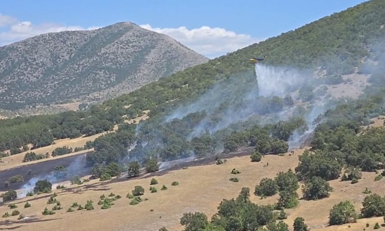 Κοζάνη:-Σε-εξέλιξη-η-φωτιά-στο-Δρέπανο-–-Μια-σύλληψη-από-την-Πυροσβεστική