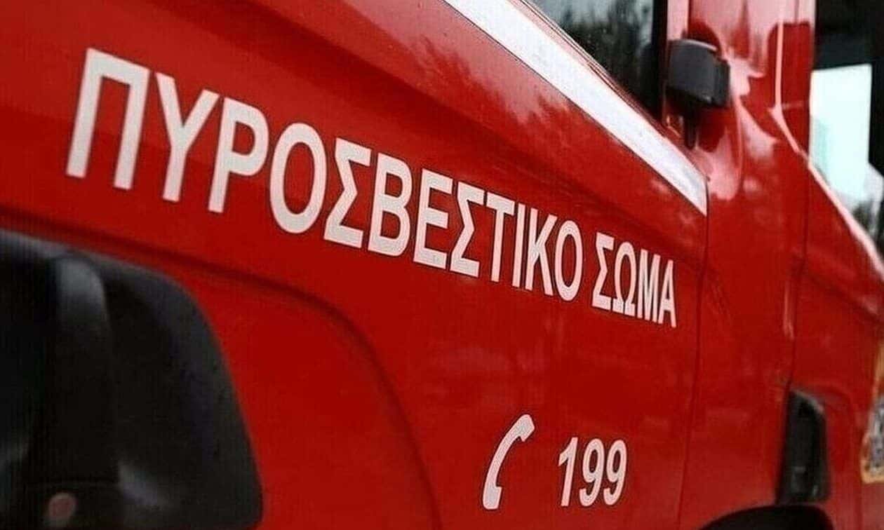 Πυρκαγιά-στη-Χωριστή-Δράμας:-Υπό-μερικό-έλεγχο-η-φωτιά-που-ξέσπασε-σε-αγροτοδασική-έκταση