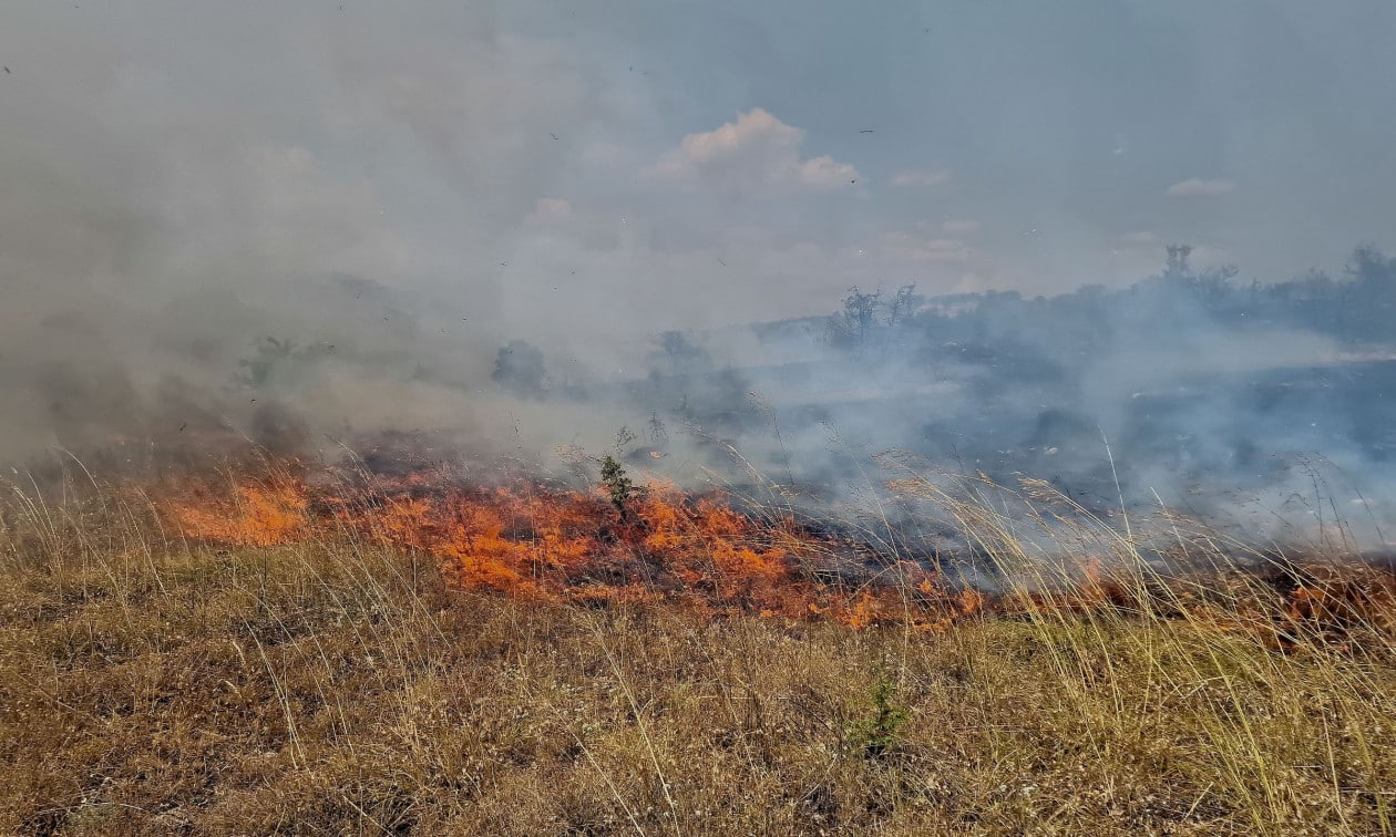 Χανιά:-Υπό-έλεγχο-φωτιά-στην-περιοχή-Μεγάλα-Χωράφια