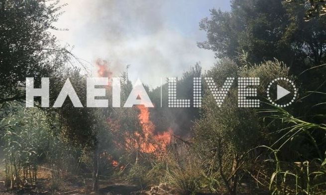 Μεγάλη-φωτιά-στην-Μέλισσα-Λεχαινών-Ηλείας-–-Ήχησε-το-112
