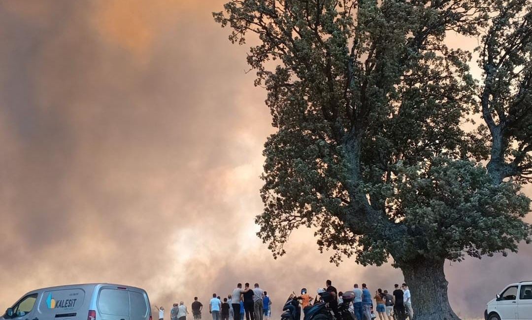 Τουρκία:-Μεγάλη-δασική-φωτιά-στο-Τσανάκαλε-–-Έκλεισε-ο-Βόσπορος-και-αεροδρόμιο,-κάηκε-πυροσβεστικό