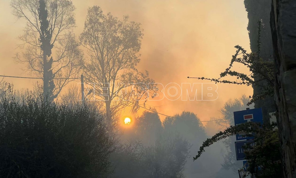 Βαθρακογιάννης:-Βελτιωμένη-εικόνα-στα-Συχαινά-–-«Αναμένεται-πολύ-δύσκολη-και-η-σημερινή-μέρα»