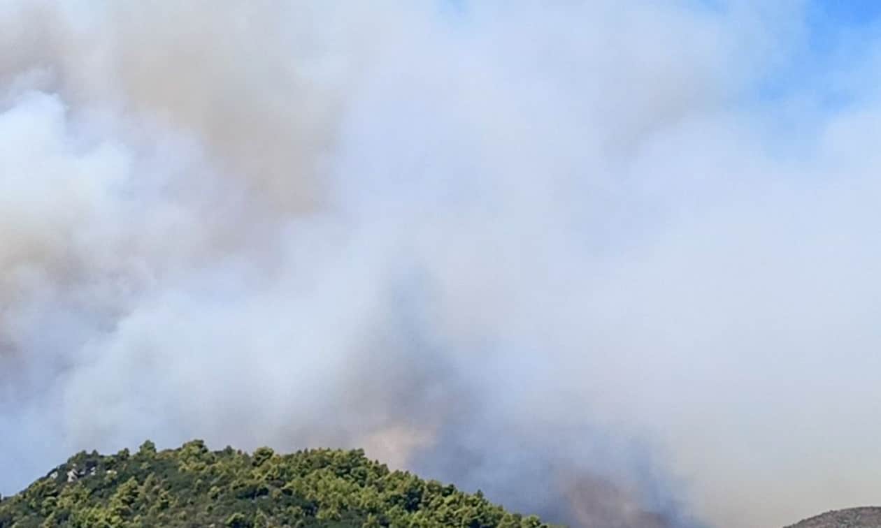 Φωτιά-στη-Ζάκυνθο-–-Μάχη-με-τις-αναζωπυρώσεις