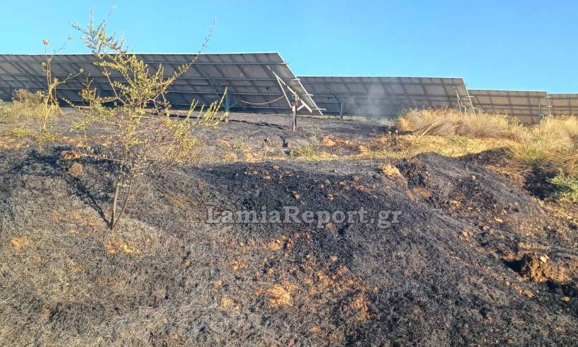 Λαμία:-Φωτιά-στον-Άγιο-Στέφανο-Δομοκού-κοντά-σε-φωτοβολταϊκά-–-Επιχειρούν-εναέρια-μέσα