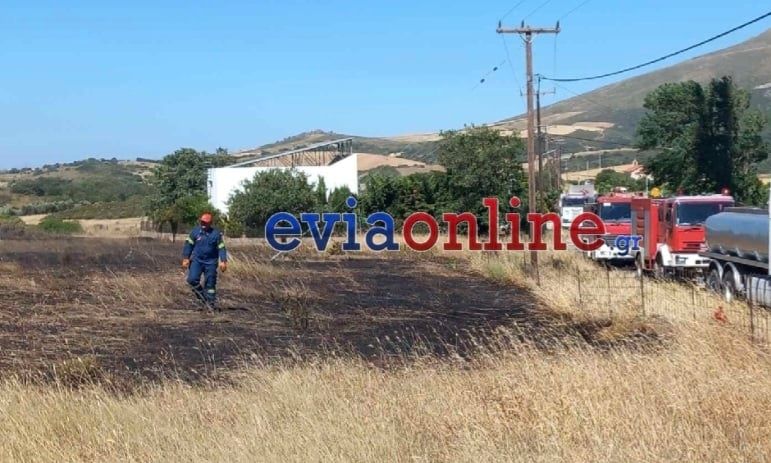 Εύβοια:-Έξι-ανήλικα-παιδιά-στο-μικροσκόπιο-των-αρχών-για-εμπρησμούς