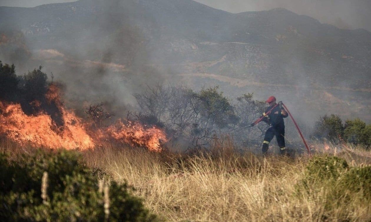 Φωτιά-τώρα-στην-Αγορά-Θεσπρωτίας-–-Σηκώθηκαν-εναέρια-μέσα