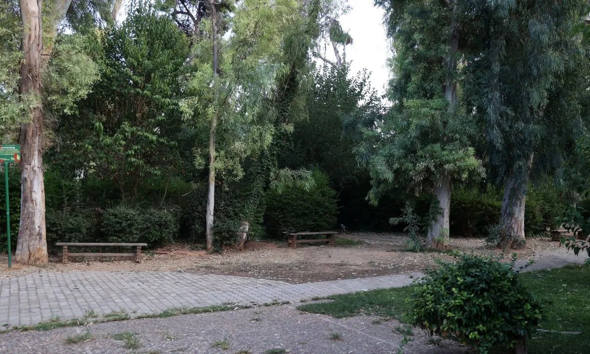 Ο-Δήμος-Αθηναίων-κατηγορεί-τους…-προηγούμενους-για-τα-νεκρά-ζώα-στο-Άλσος-Χωροφυλακής