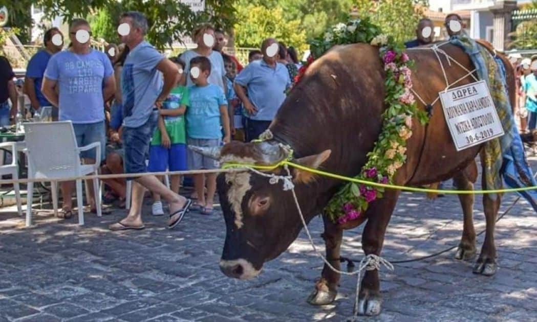 Διαμαρτυρία-των-φιλόζωων-για-το-halal-–-«Οχι-σφαγές-χωρίς-αναισθησία»