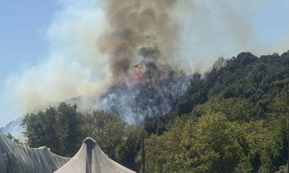 Φωτιά-τώρα-στο-Μυρτόφυτο-Παγγαίου-Καβάλας-–-Σηκώθηκαν-και-εναέρια-μέσα
