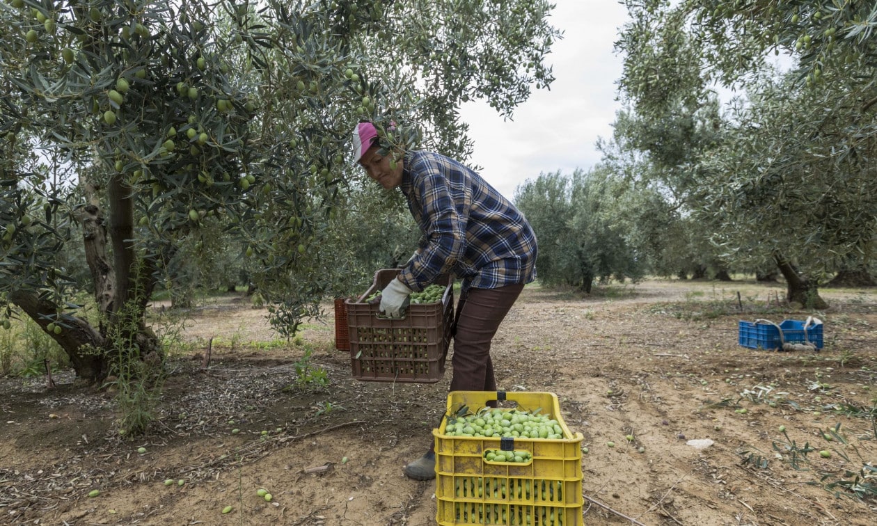 Χωρίς-σύνταξη-300.000-ελεύθεροι-επαγγελματίες-και-αγρότες-λόγω-χρέους-προς-τον-e-ΕΦΚΑ